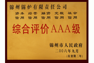 06年綜合評價(jià)AAA級(jí)