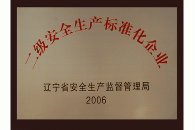 二級安全生產標準化企業(yè)